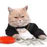 Cat Boss
