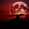 RedNord