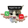 Радистка Cat