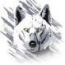 wolk_90