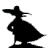 darkwingduck