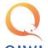 QIWI_MARKET