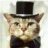 mr.cat1